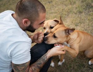 Shopping Del Rey realiza evento de adoção pet neste sábado (17)