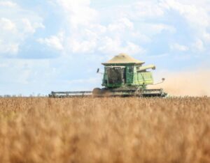 Condições climáticas favoráveis e avanços tecnológicos contribuíram para safra recorde de soja