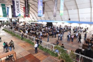 Ordenha marca a primeira Festa de Encerramento Oficial da Megaleite 
